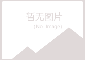 河曲县雁枫电讯有限公司